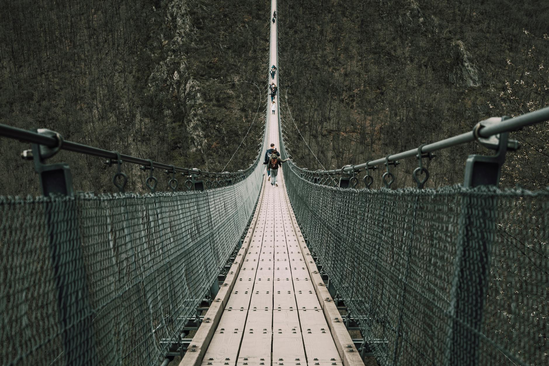 people hiking on footbridge over abyss in forest