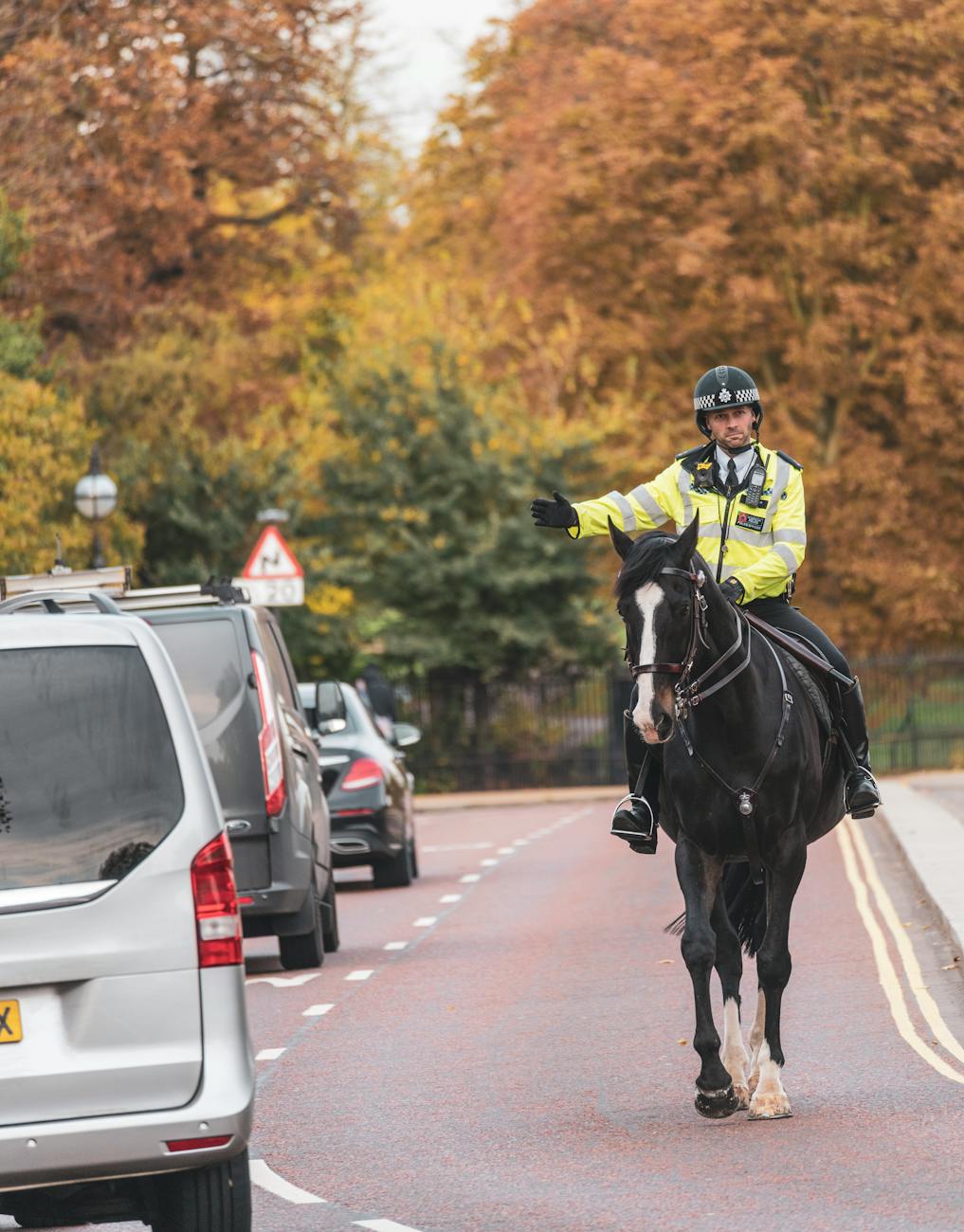 policeman riding a horse